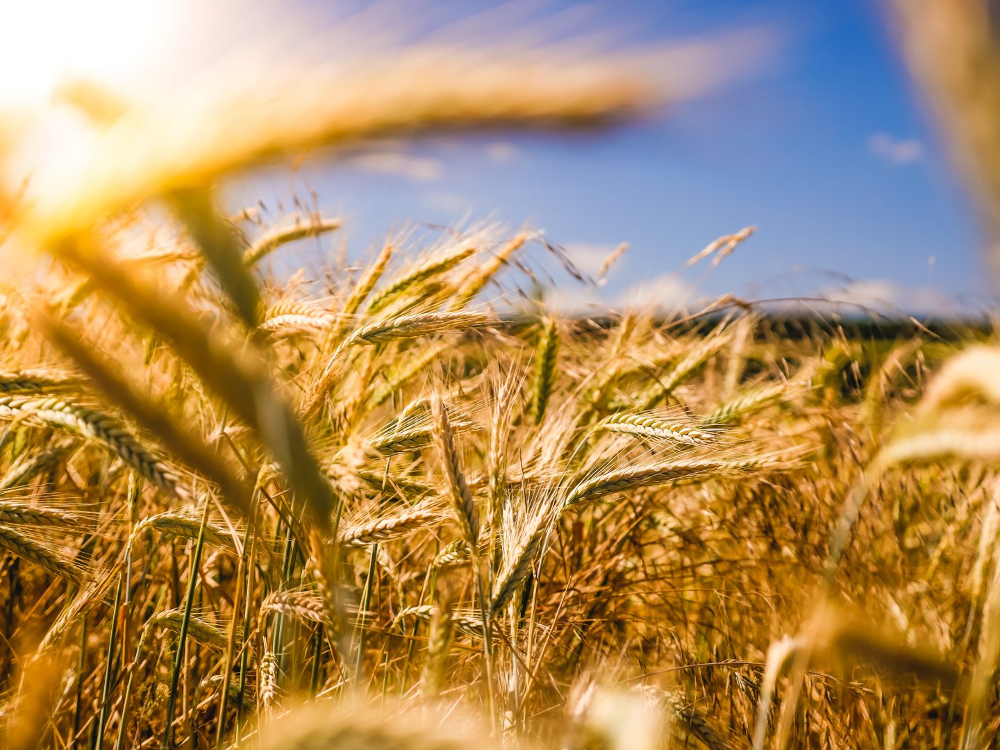 Nachhaltige Landwirtschaft