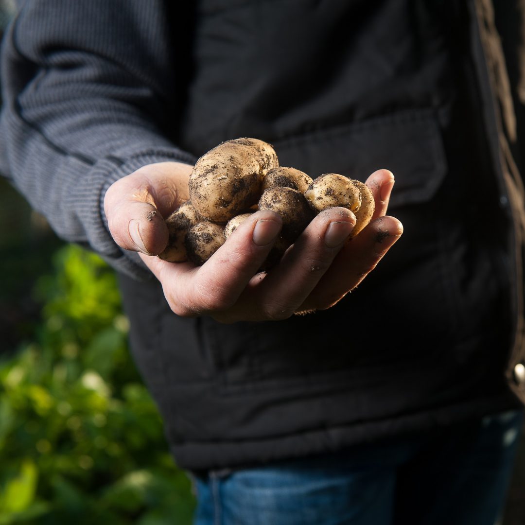 Landwirtschaft, Agrar- und Forstwirtschaft