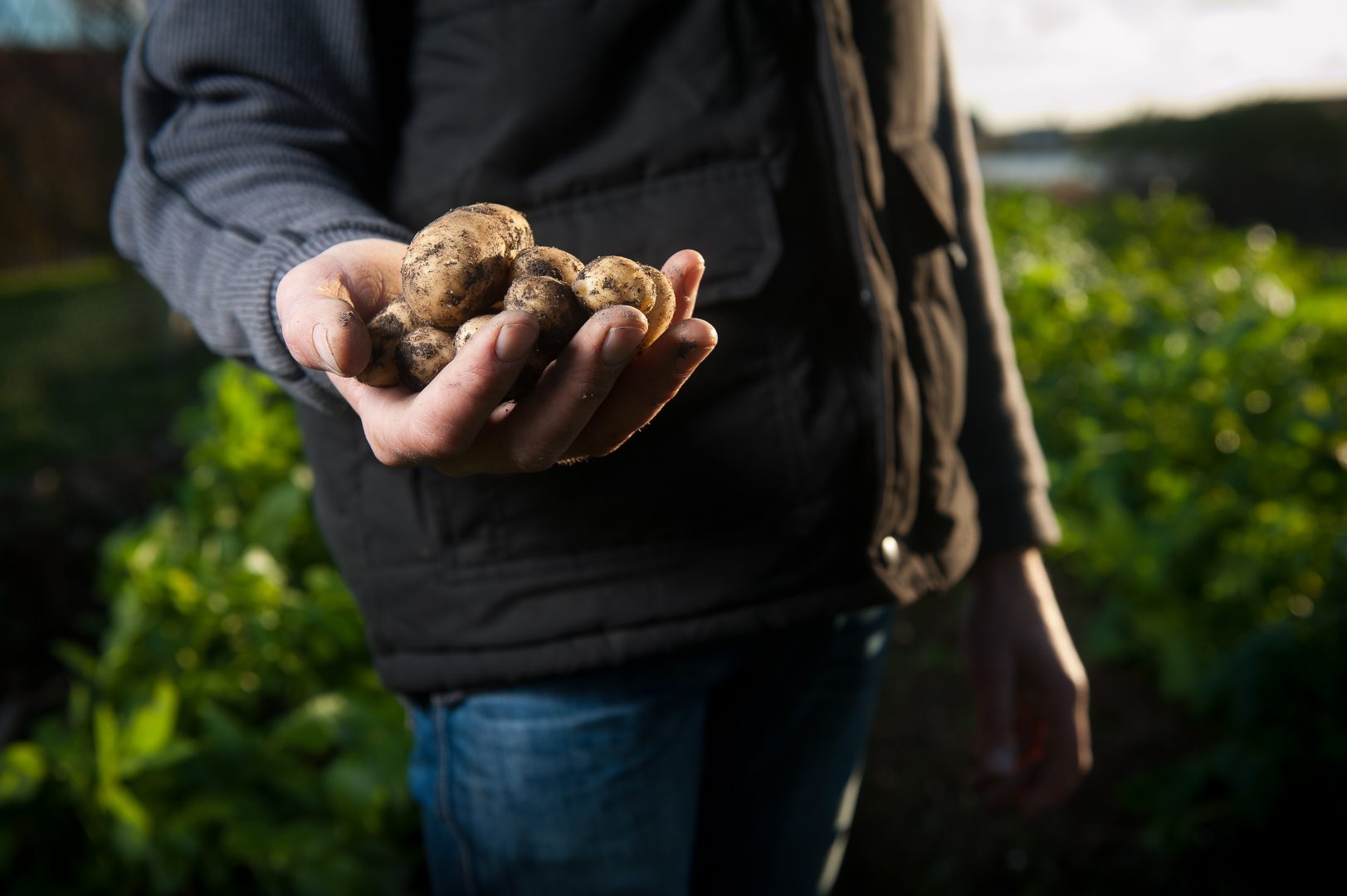 Landwirtschaft und Artenschutz