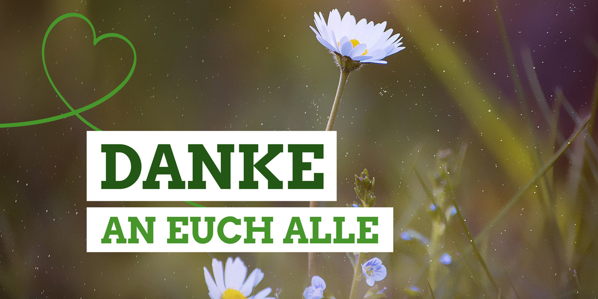 Nahaufnahme einer Blumenwiese mit dem Text "Danke an euch alle"